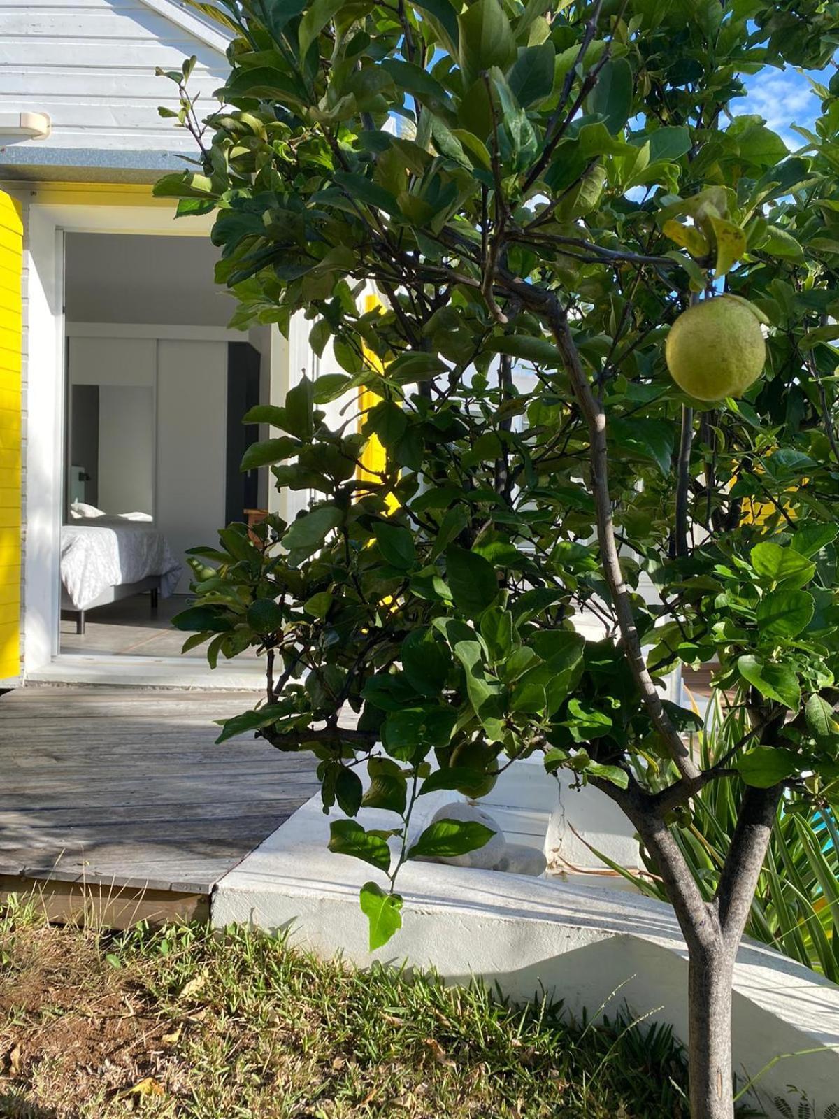 Villa Ylang Saint-Gilles Les Bains Extérieur photo